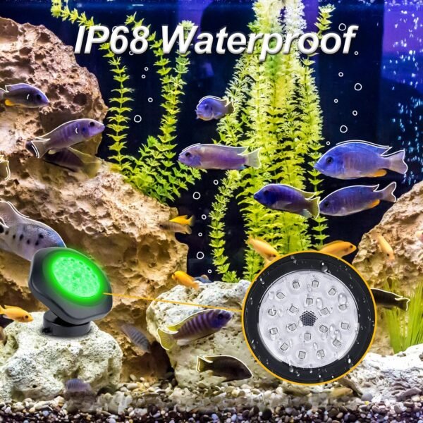 Mini spot solaire LED d'extérieur pour bassin