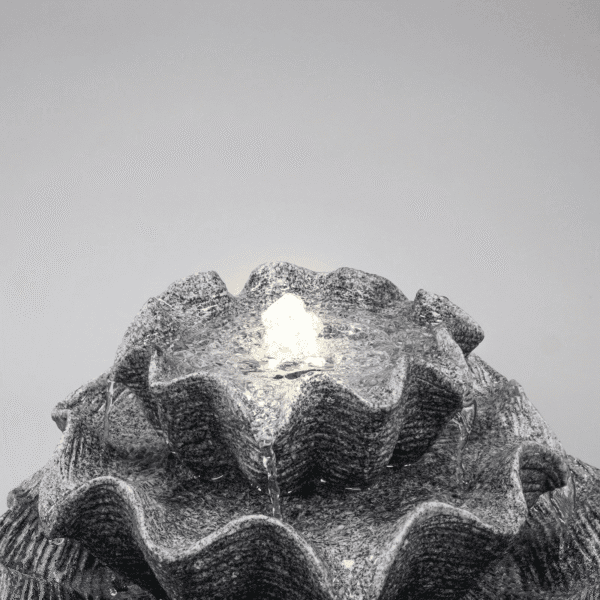 Fontaine solaire coquillage