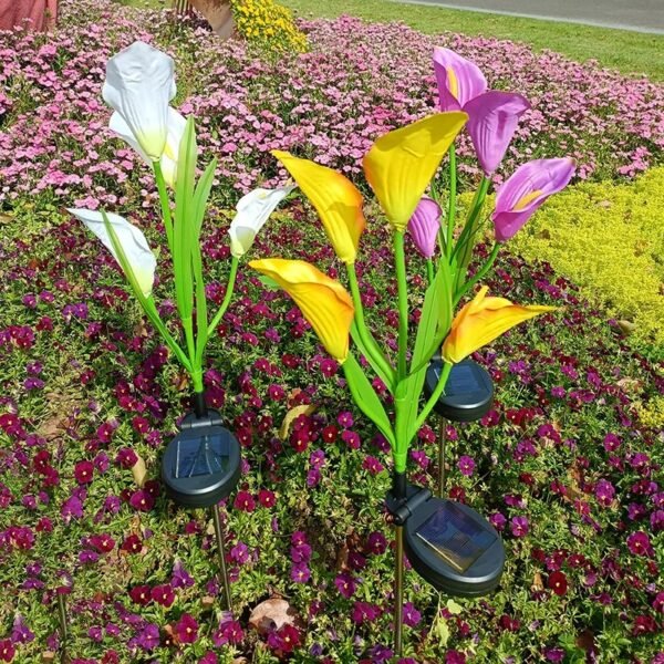 Balise solaire fleurs de lys calla à piquer