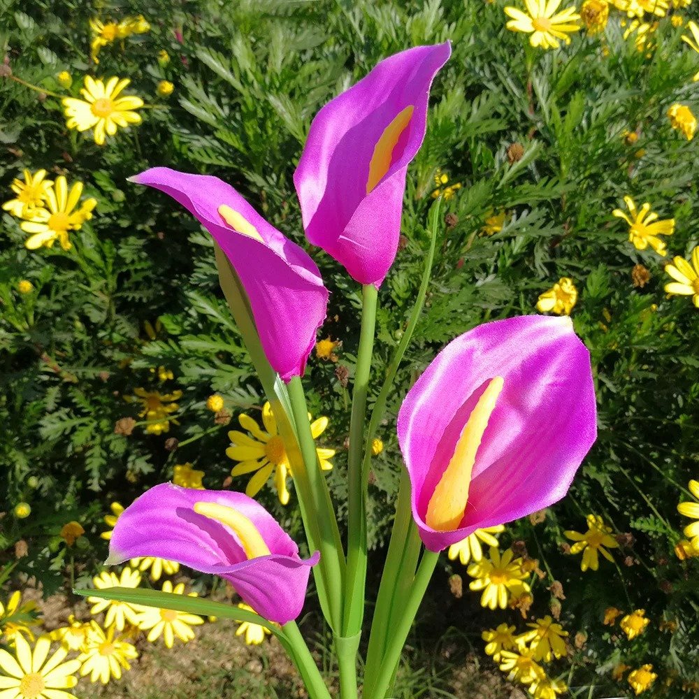 Balise solaire fleurs de lys calla à piquer 3 Balise solaire fleurs de lys calla à piquer