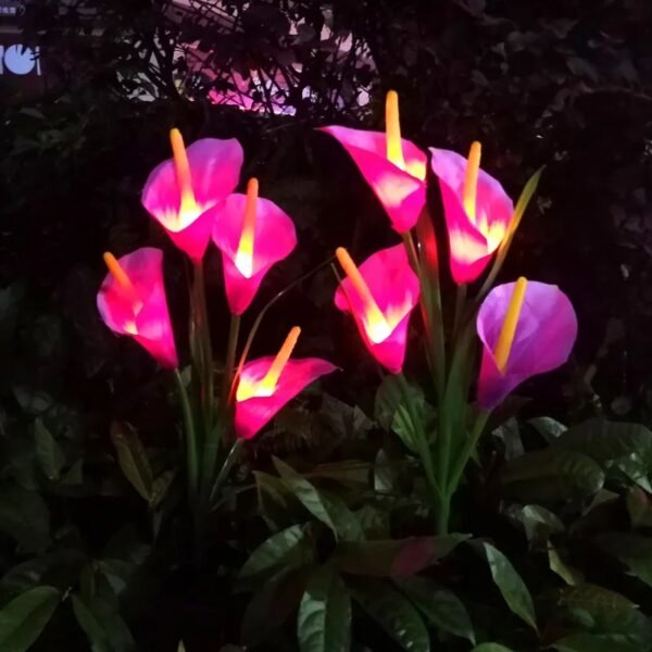 Eden Solaire 51 Balise solaire fleurs de lys calla à piquer