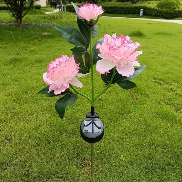 Borne solaire fleurs de pivoine