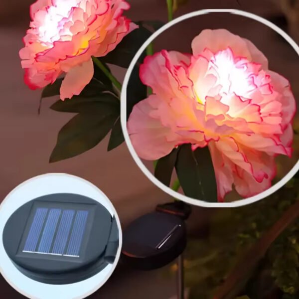 Borne solaire fleurs de pivoine