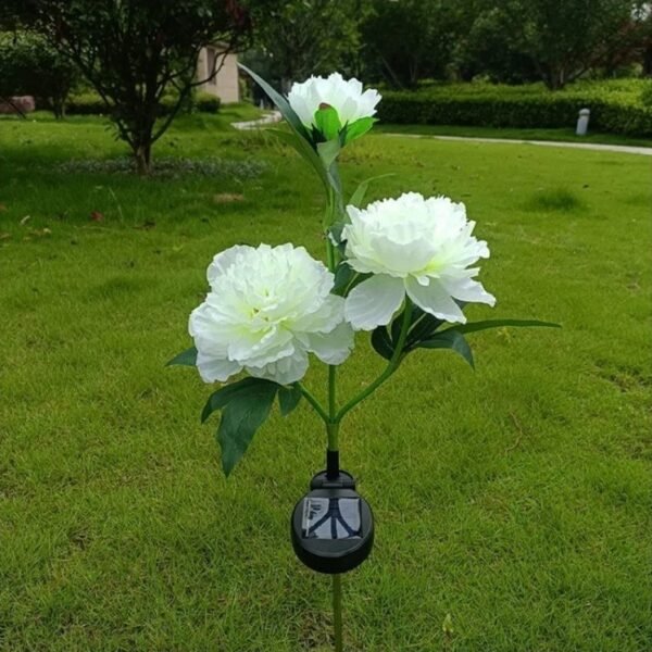 Borne solaire fleurs de pivoine
