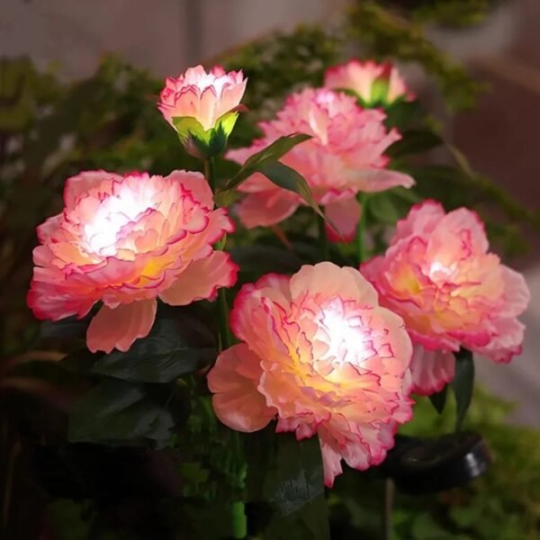 Borne solaire fleurs de pivoine