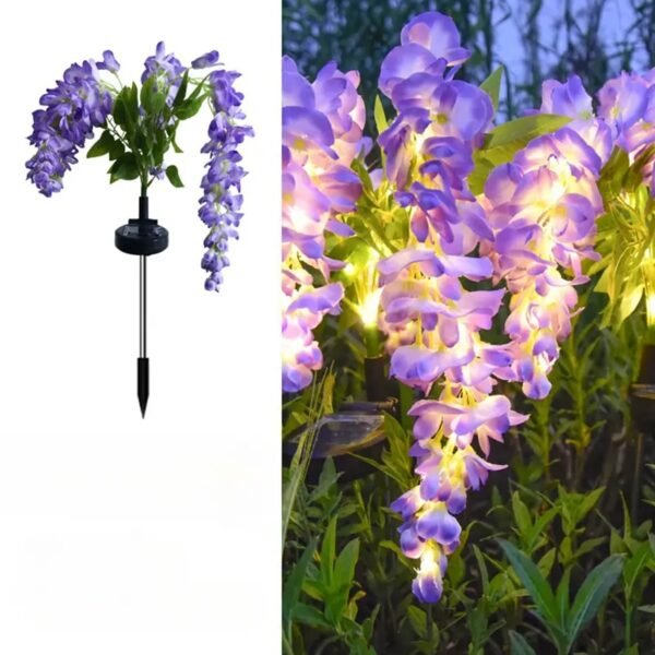 Plante glycine à fleurs solaire