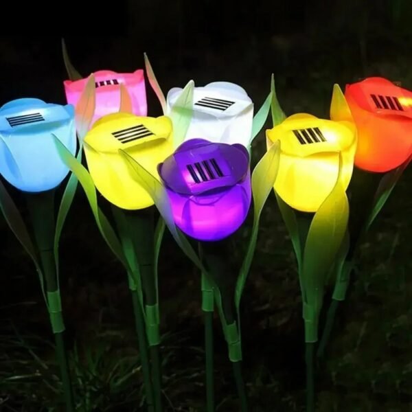 Rose lumineuse solaire à planter