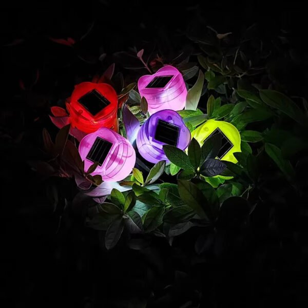 Rose lumineuse solaire à planter