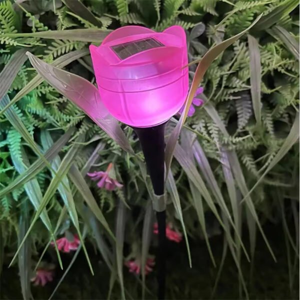 Rose lumineuse solaire à planter