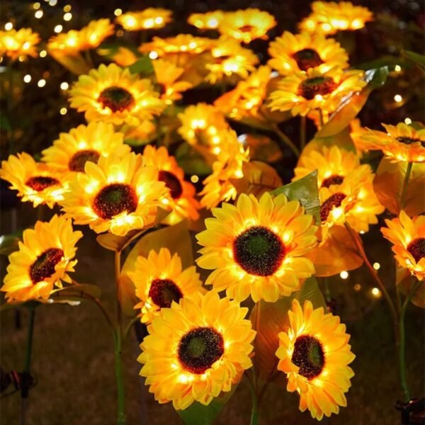 Tournesol solaire