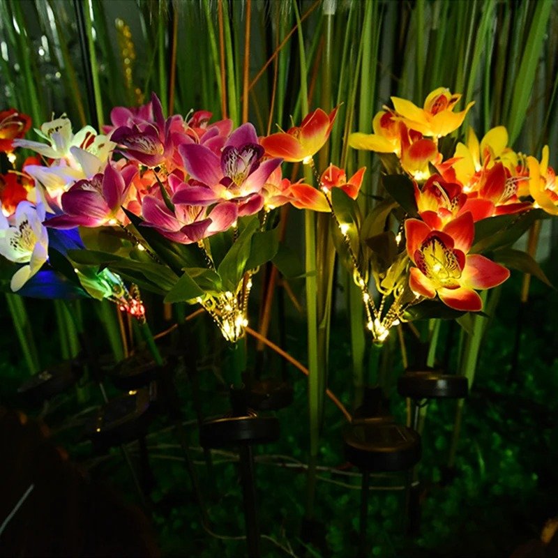 Orchidée solaire 2 Orchidée solaire