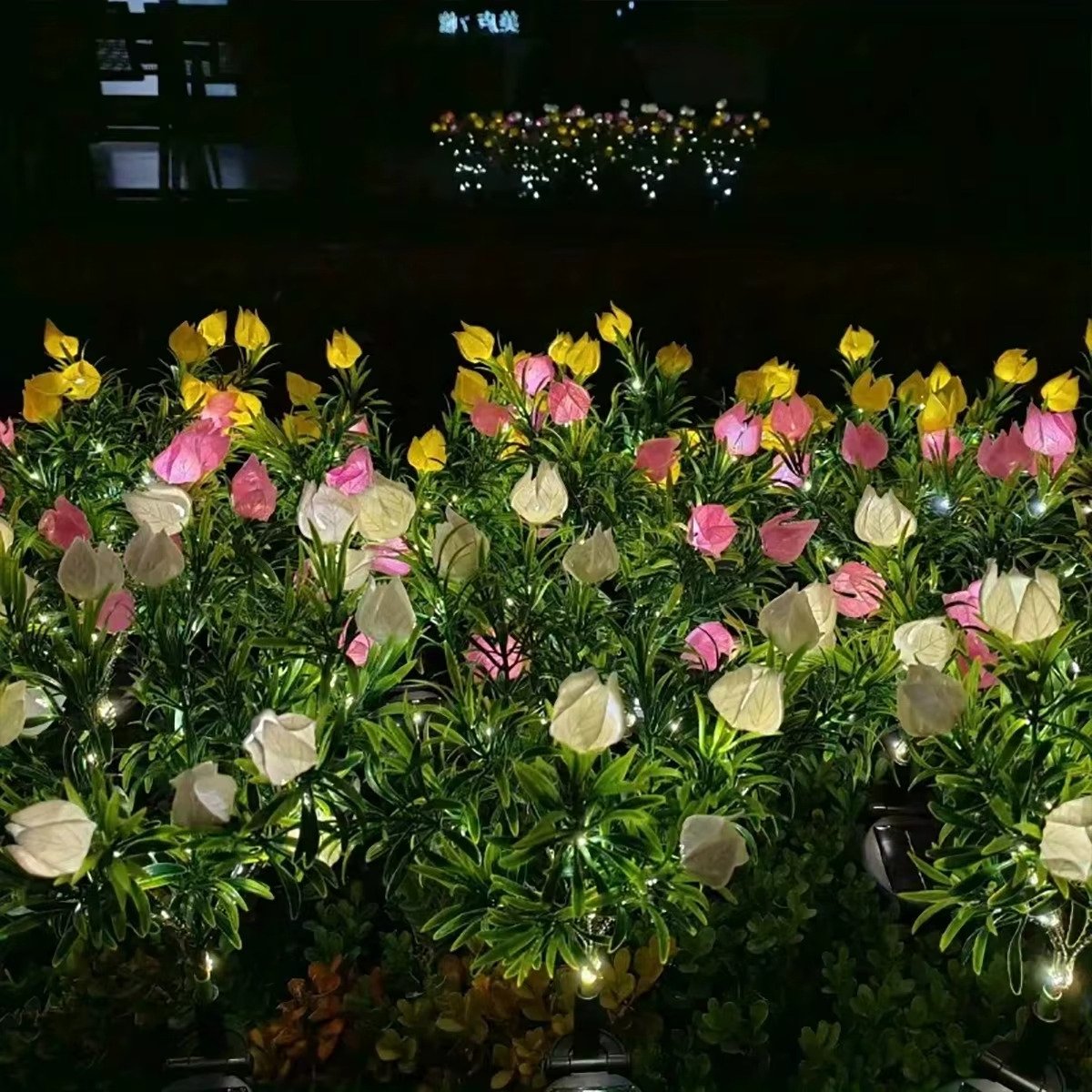 Plante à fleurs solaire gardénia 7 Plante à fleurs solaire gardénia