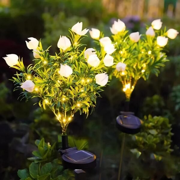 Eden Solaire 46 Plante à fleurs solaire gardénia